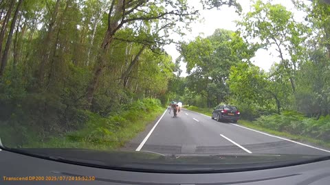 😂🌳 This Nature Speed Hump is Hilarious! | FunFM