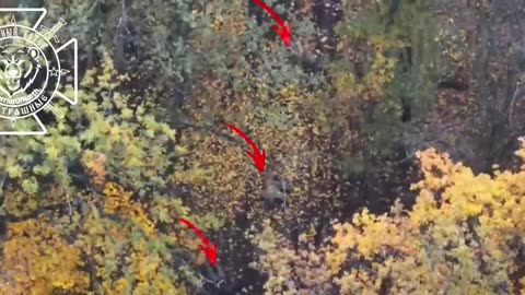 🚁🌲 Russia Russia War | 11th Army Corps FPV Drone Ambushes Ukrainian Troops in Kharkiv Forests | RCF