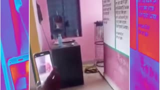 Panic in School! Pair of Cobras ‘Dance’ Inside Gwalior Classroom — Students Locked In for Safety