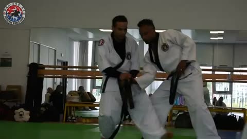 Hapkido