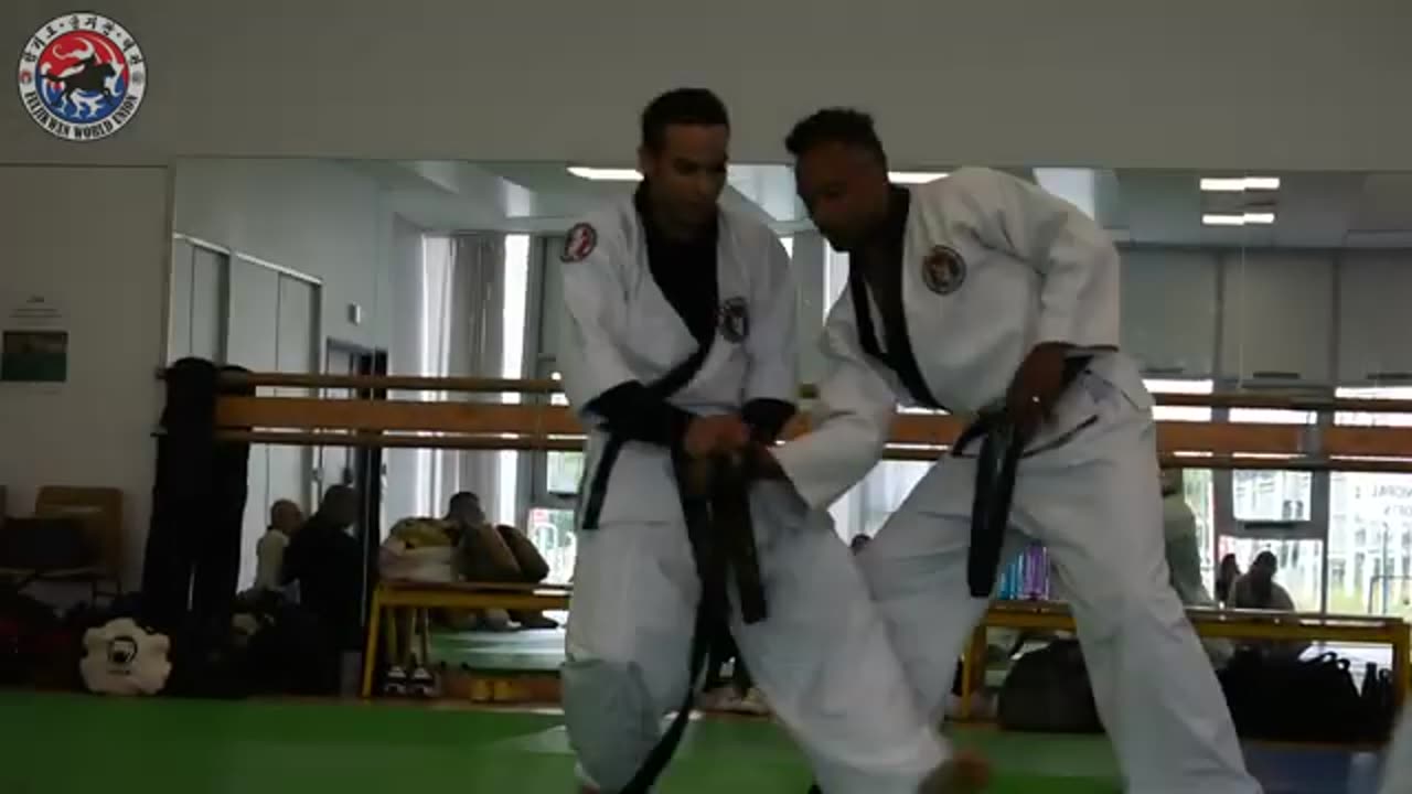 Hapkido