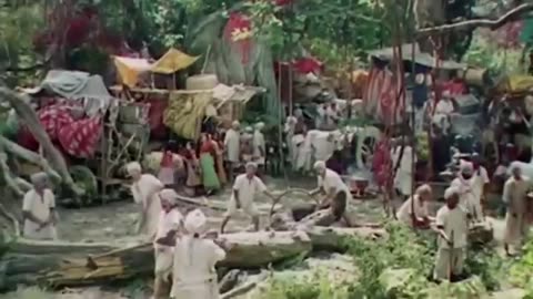 Forest animals movie