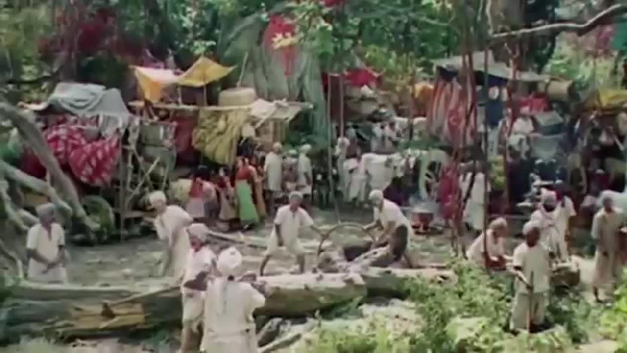 Forest animals movie