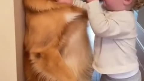 Kids Playing with Dogs and Cats | Cute Baby & Pet Friendship Moments 🐶🐱