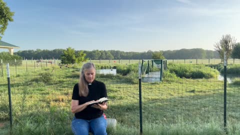 Morning Prayer, Daily Office
