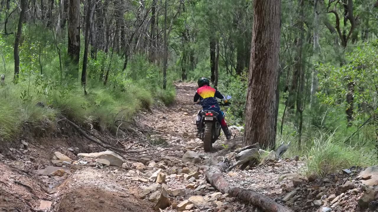 CFMOTO 450 Tested To The Limit