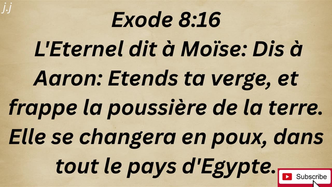 "La plaie des moustiques" exode 8:16#shorts #youtube #ytshorts #shortvideo #youtubeshorts #jesus #yt