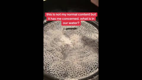 Woman Finds Something "Strange" In The Water…But It's Not Just The Water