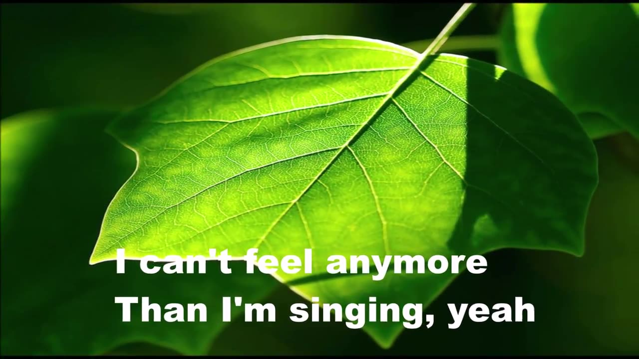 Peter Frampton - I'm In You ( w lyrics)