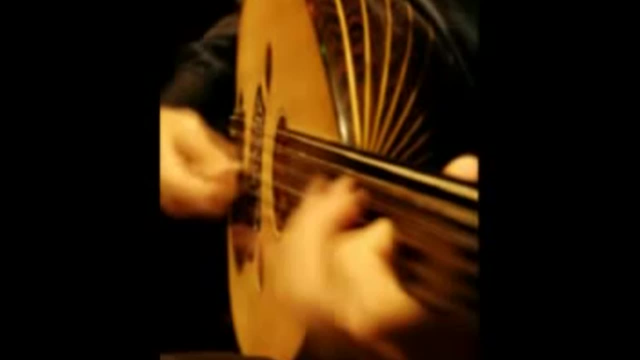 The Construction of an Oud