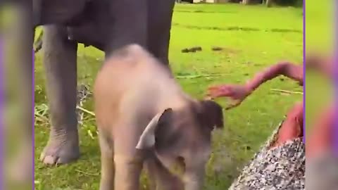 “Unexpected Bloopers You Won’t Believe”