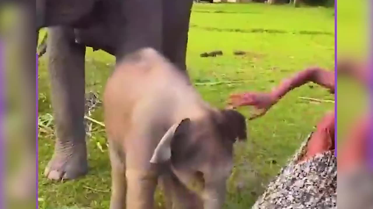 “Unexpected Bloopers You Won’t Believe”
