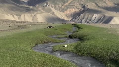 Nature’s Hidden Gems