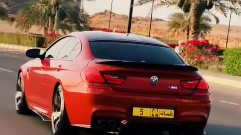 🏎️💨 The ULTIMATE #2021makeawish Tour in DUBAI & OMAN! | LuxurySportsCars