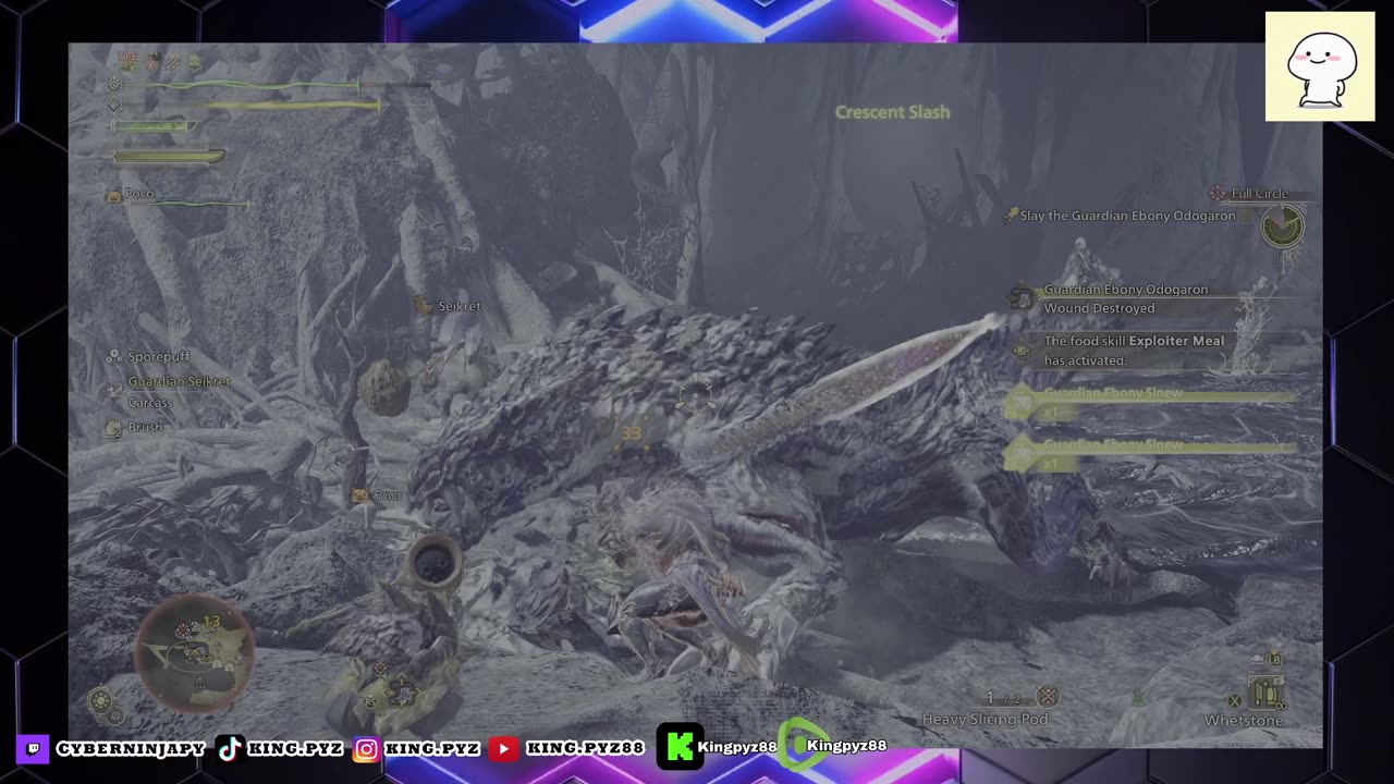 MH Gameplay 17