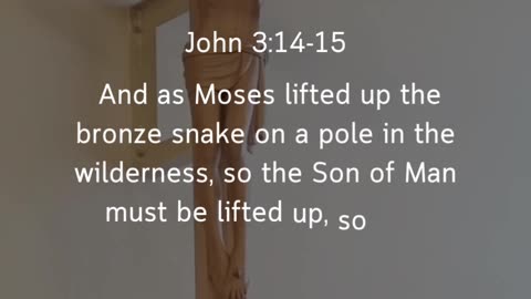 John 3:14-15