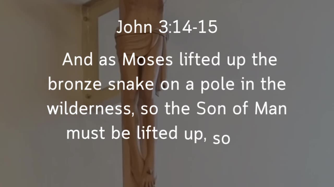 John 3:14-15