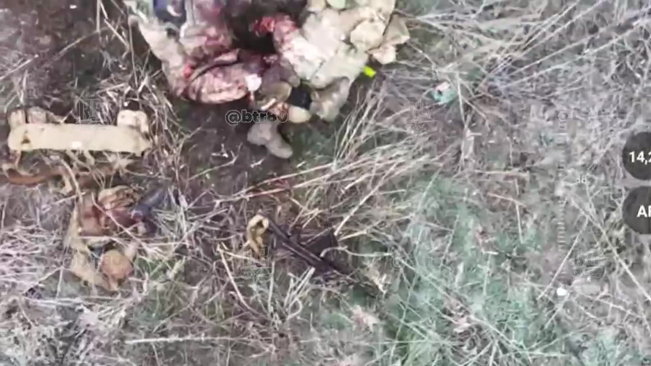 😪😪😪 And Europe doesn't want peace