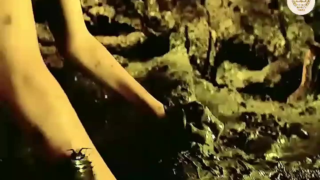 चद क रजकमर