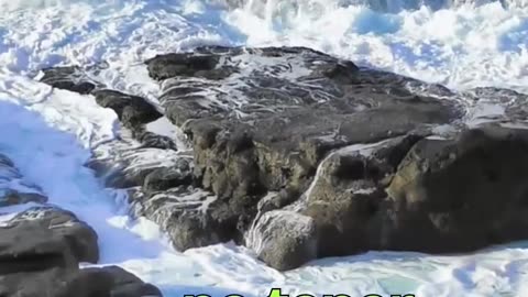 😊 195 TU PROPÓSITO ES LA FUENTE DE TU PROSPERIDAD Proverbios 19:21 😊