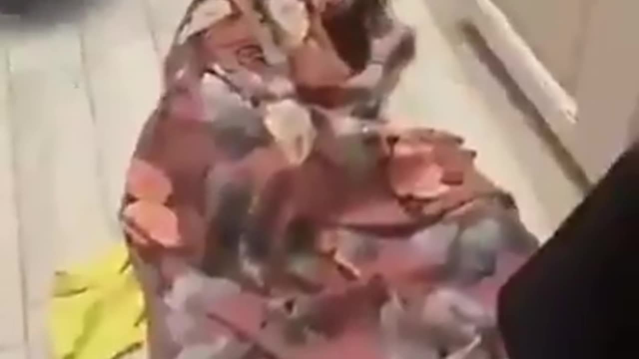 This is Islam ☪️ancer