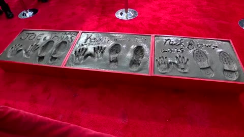 The Jonas Brothers are cemented into Hollywood history