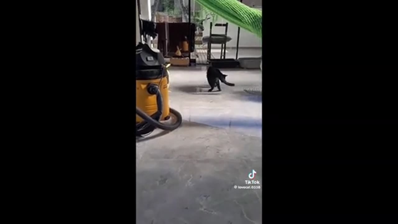 Need a laugh here and there ;)