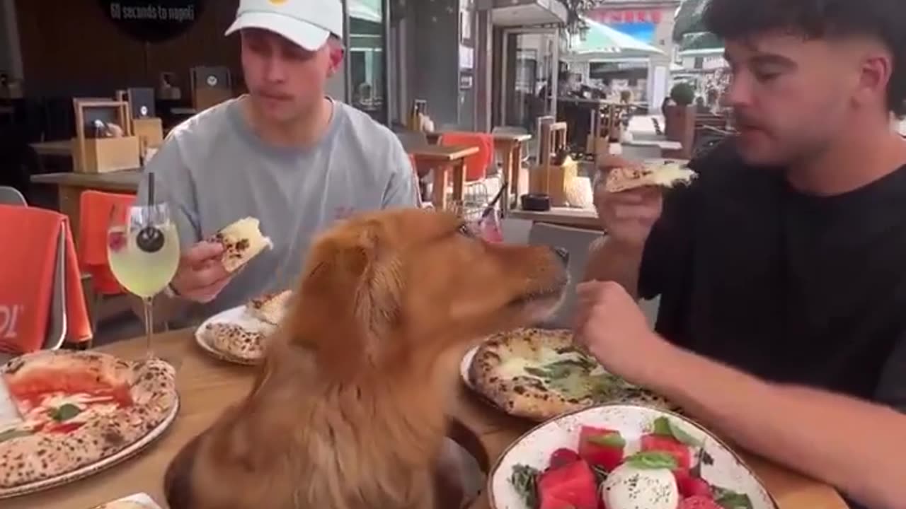πΆπ Dog Scores Prime Spot at Pizza Table! | FunFM
