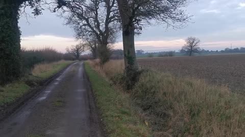 No Sutcliffe / Steve Wright Sandringham Serial Killer / Here / 2