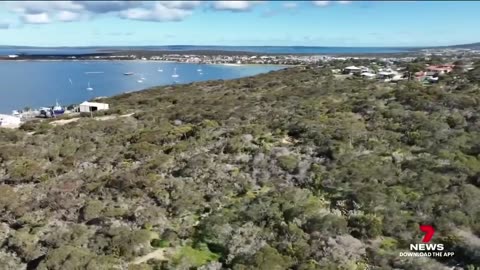 Dog walker finds suspected missing head of Port Lincoln murder victim Julian Story - 7NEWS Australia
