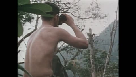Vietnam War Brothers In Arms..Forever