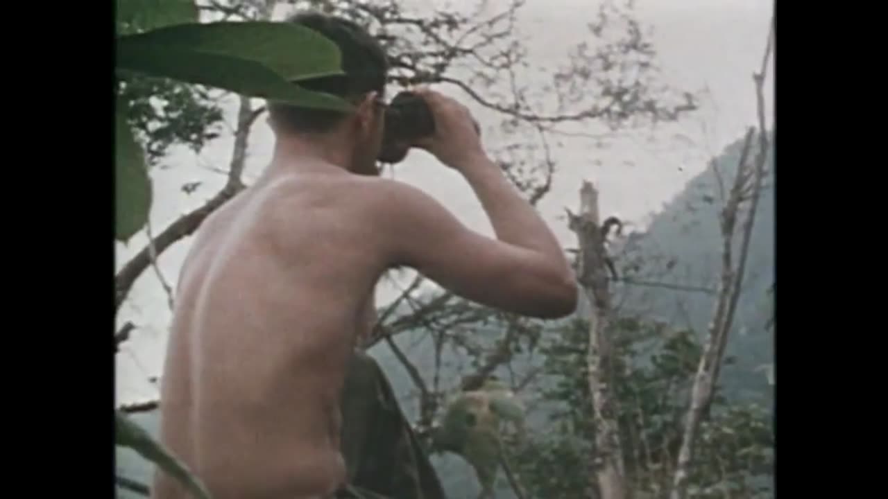 Vietnam War Brothers In Arms..Forever