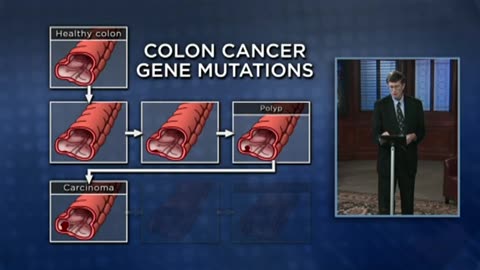 17 How Do Genetic Changes Result in Cancer