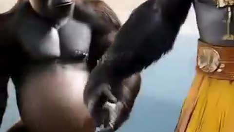 Unusual Wedding When Nature Witnesses Wordless Love #nature #animals #funny #love #trending