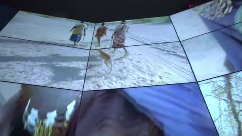 the .truth .about. boosting. your. immune. system.