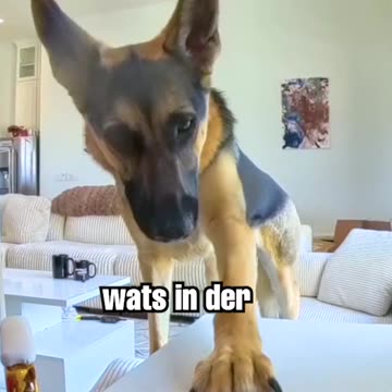 What did she just say