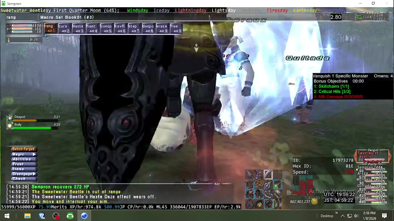 Playing Final Fantasy XI Online