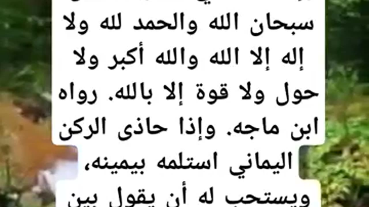 ما هي ادعية الطواف السبعه للعمره؟