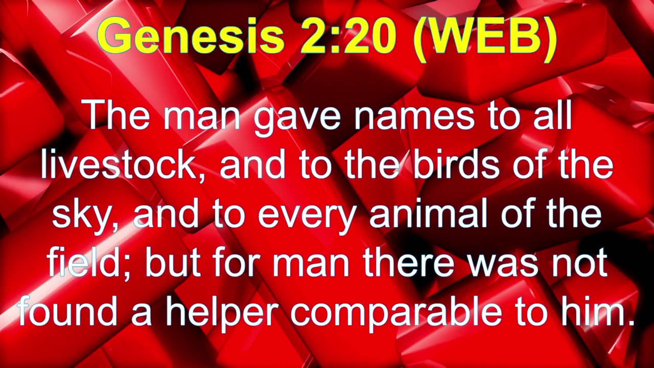 Genesis Chapter 2 World English Bible