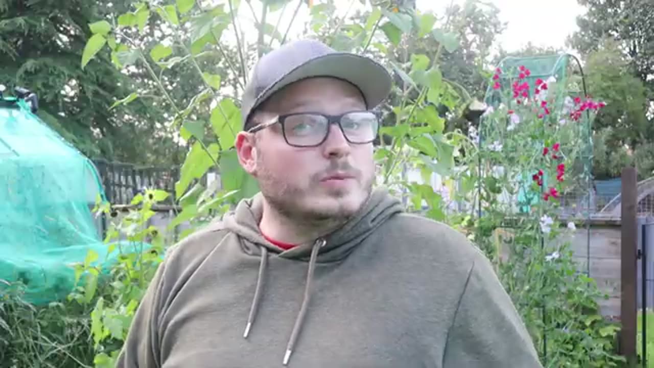 Make A Mini Hydroponics System On A Budget - Grow Perfect Plants EVERY Time!