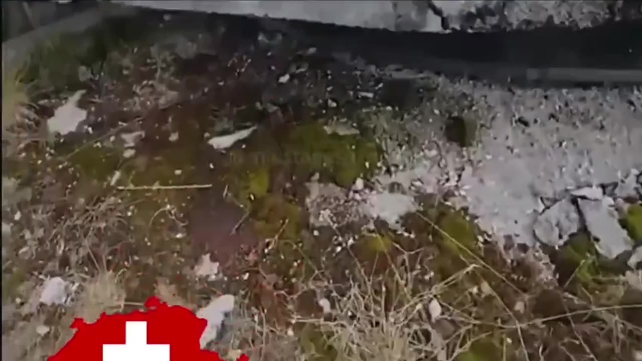 阿爾卑斯山脈蘊藏著豐富天然資源，海拔高、易守難攻！聰慧的瑞士人在此建立“末日碉堡”～