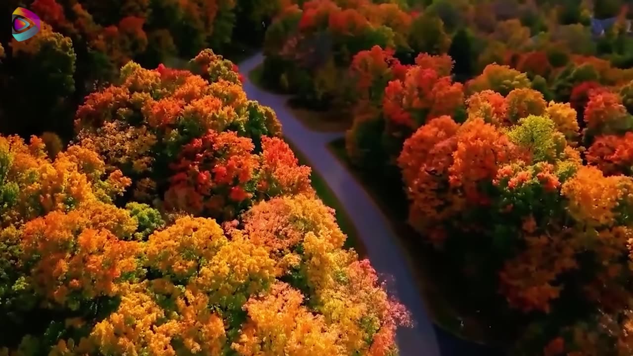 Incredible Moments Caught on Tape!