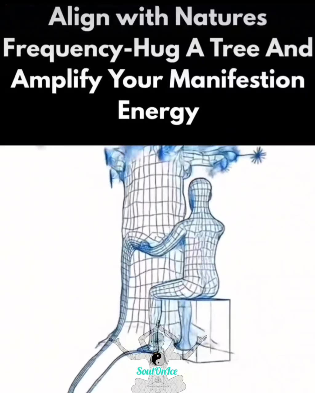 Align with Natures Frequency-Hug A Tree And Amplify Your Manifestion Energy