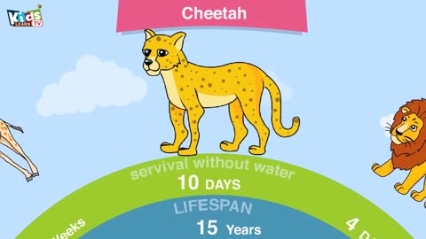 Life-span of animals - longest lifespan animals