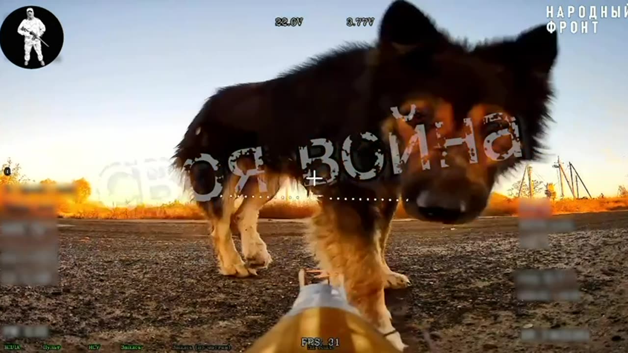 The Drone Was Waiting to Set Up an Ambush