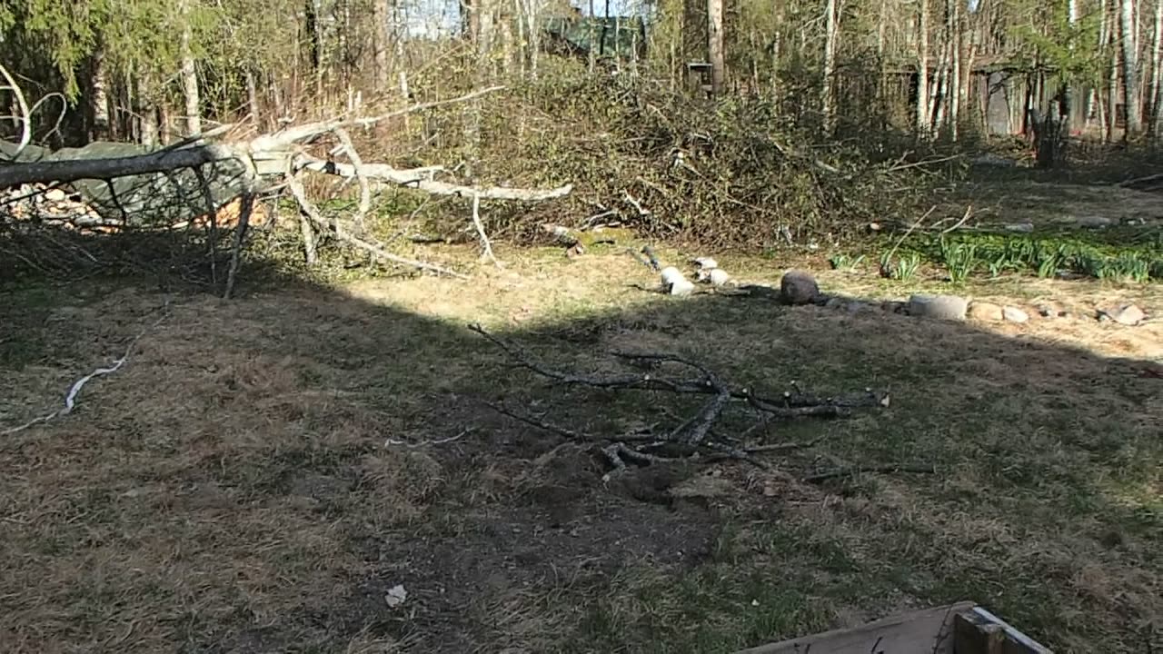 ekat istutus allas kokeilut