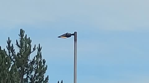 Rothschild BlackRock WEF Power...