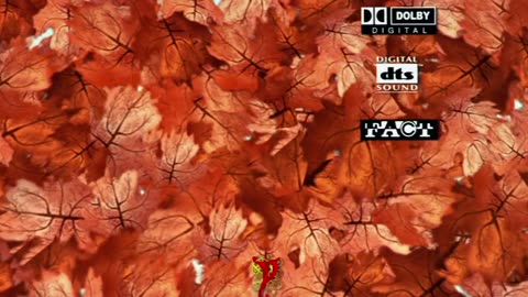 Mohabbatein_(2000)_Hindi_720p