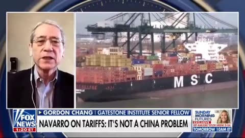 Chang: There are too many Chinese goods for the world.