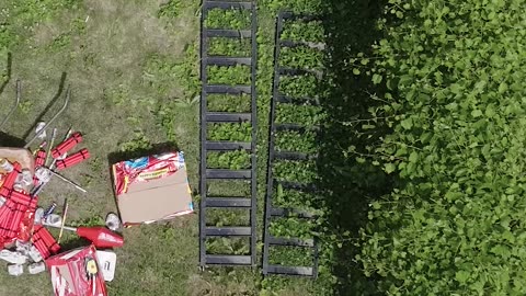 Satellite Images Reveal Drunk Father Stockpiling Fireworks